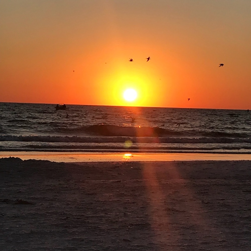 Meet your Posher, Cassie